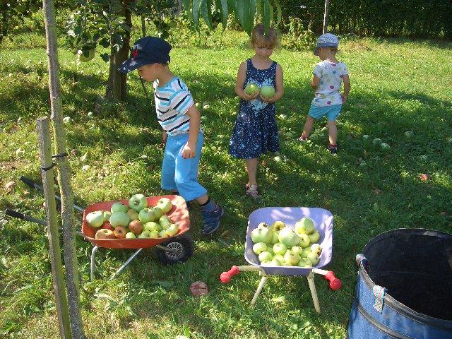 Durch unser Jahresthema Streuobstwiese sollen die Kinder eine persönliche Bindung zu unserem Obstgarten entwickeln.