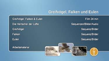 Schlagwörter Aasfresser; Adler (Biologie); Ansitzjagd; Artenschutz; Artenvielfalt; bedrohte Tierart; Baumfalke; interpretation; Biodiversität; Brutpflege; Bussarde; Eulen; Experiment; Falken; Feder