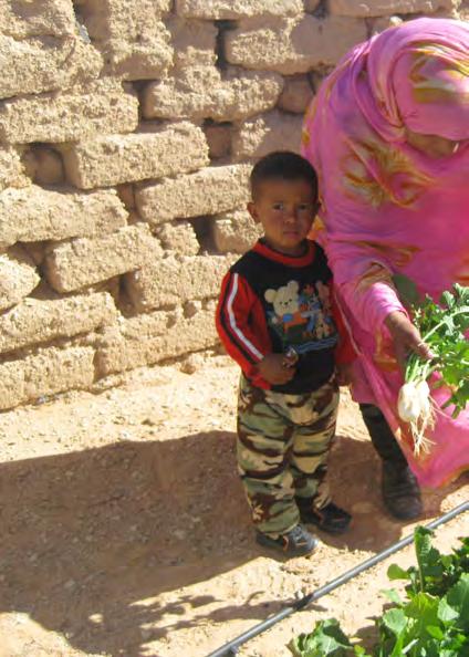 die Investitionen anders eingesetzt. Zusammen mit der Bevölkerung und mit Unterstützung eines sahraouischen Agronomen wurde darauf ein Programm entwickelt zur Förderung von Familiengärten.