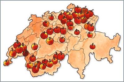 Swiss fruit sector Apple: 3 854 ha Main production regions: TG, VS, VD Pear: 759