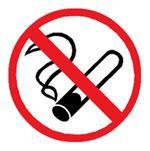 sämtlichen Hallen & Werkstätten besteht Rauchverbot Aufenthalt in den Hallen ist nur in den zugewiesenen