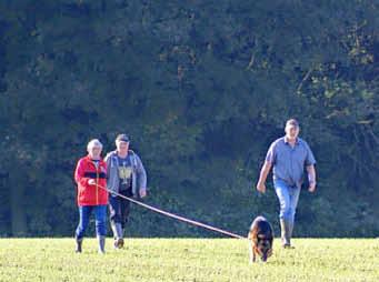 2014 fand die Herbstprüfung beim Hundeverein Krummenhagen mit guten und sehr guten Ergebnissen statt.