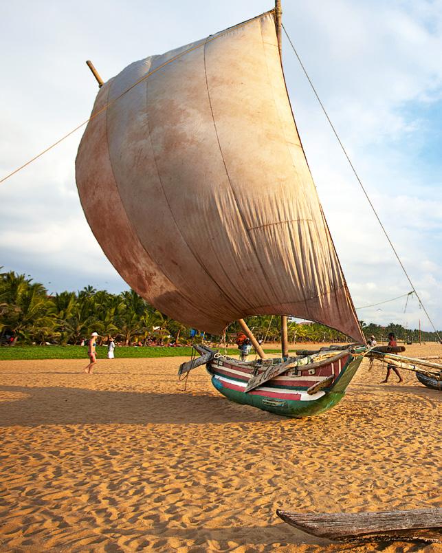 Der Strand von Negombo ( S.