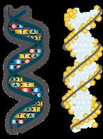 Pharmazeutische Biologie SS2011 Wie zielgerichtet sind