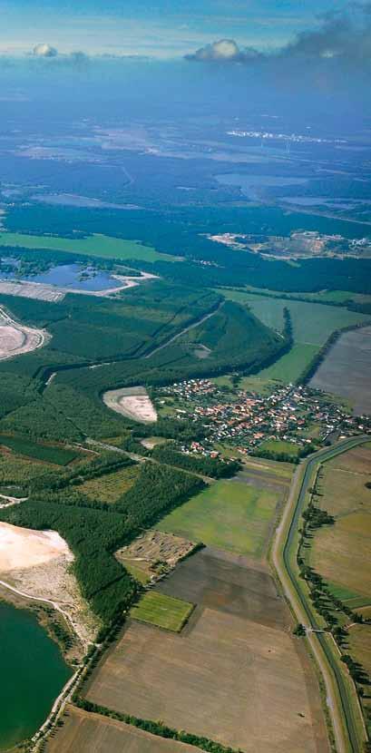 M O R G E N Neuer Lebensraum Strandgäste am Erika-See, 2009 Aus dem früheren Tagebauraum Erika/Laubusch entstand ein wasserreiches Gebiet, das sowohl für die hier lebenden Menschen als auch für Flora