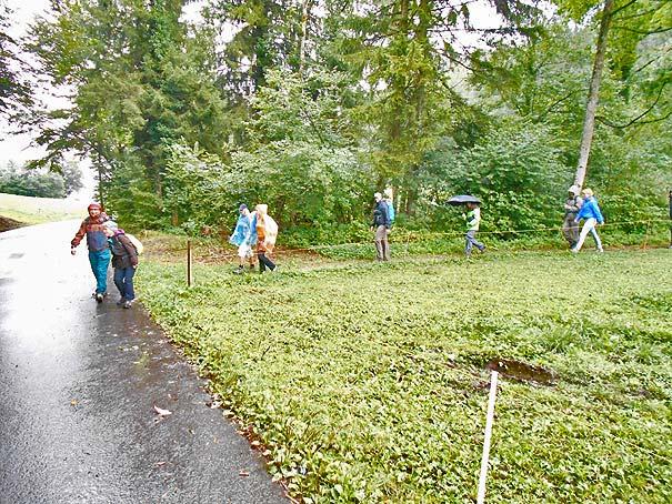 Nach einer halben Wanderstunde lässt der Regen bereits so