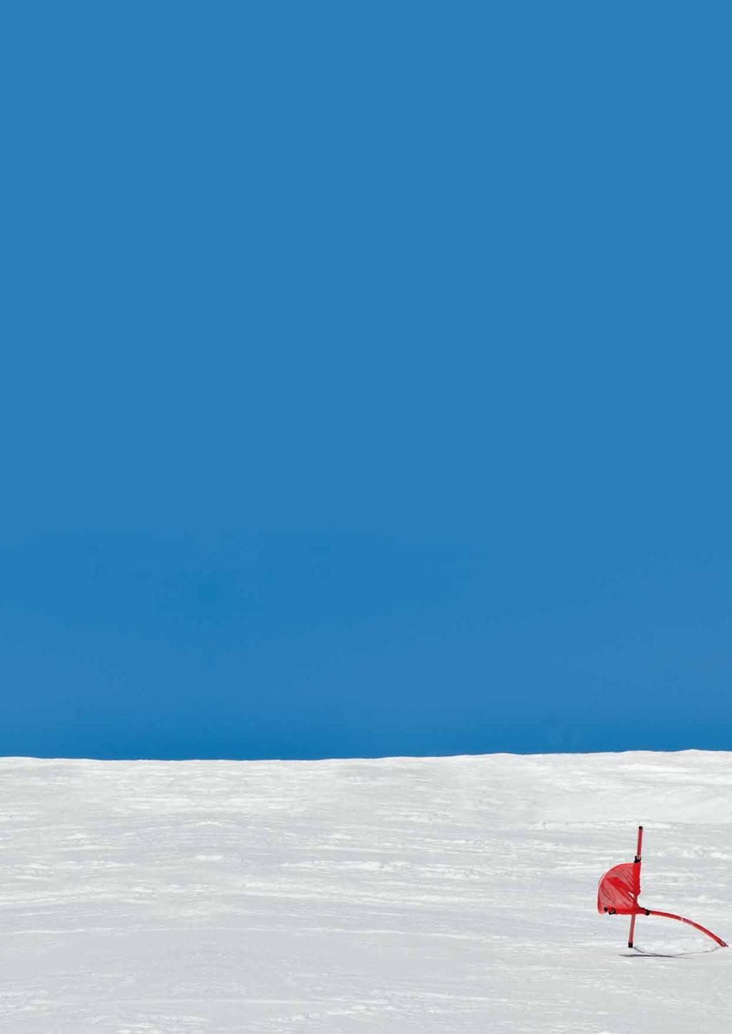 Liebe Kolleginnen, liebe Kollegen, hiermit laden wir wieder ganz herzlich alle Skisportler alpin und/oder nordisch sowie deren Betreuer und Zuschauer zu unseren 19. Internationalen offenen nach ein.