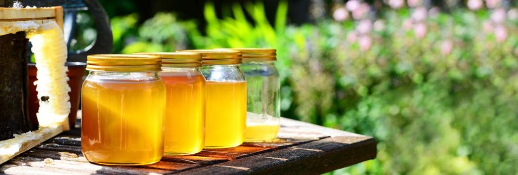 EFSA (2017a): Risks for human health related to the presence of pyrrolizidine alkaloids in honey, tea, herbal infusions and food supplements. European Food Safety Authority (EFSA).