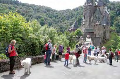 Kultur-Programm: Ausflug zur wunderschönen Burg Eltz. SPEZIALTIERNAHRUNG Die Kraft der Natur!