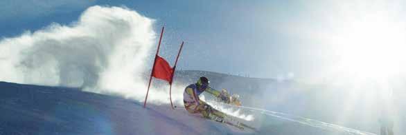 Skirennen Wir organisieren Firmen-, Vereins- und Plauschskirennen in den Disziplinen Riesenslalom, Parallelslalom oder Slalom.