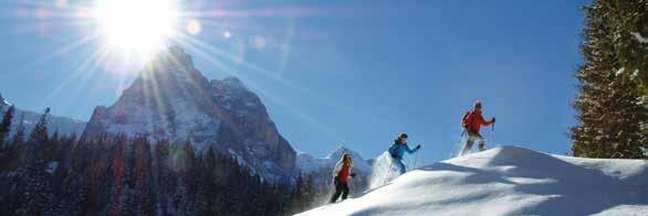 Schneeschuhtouren im Haslital Erkunden Sie abseits der Winterwanderwege mit einem eidgenössisch diplomierten Schneesportlehrer, einem Bergführer oder einem Jäger tief verschneite Wälder und