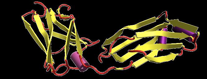 -"- Motiven zusammengesetzt ist PDB: 1TIM