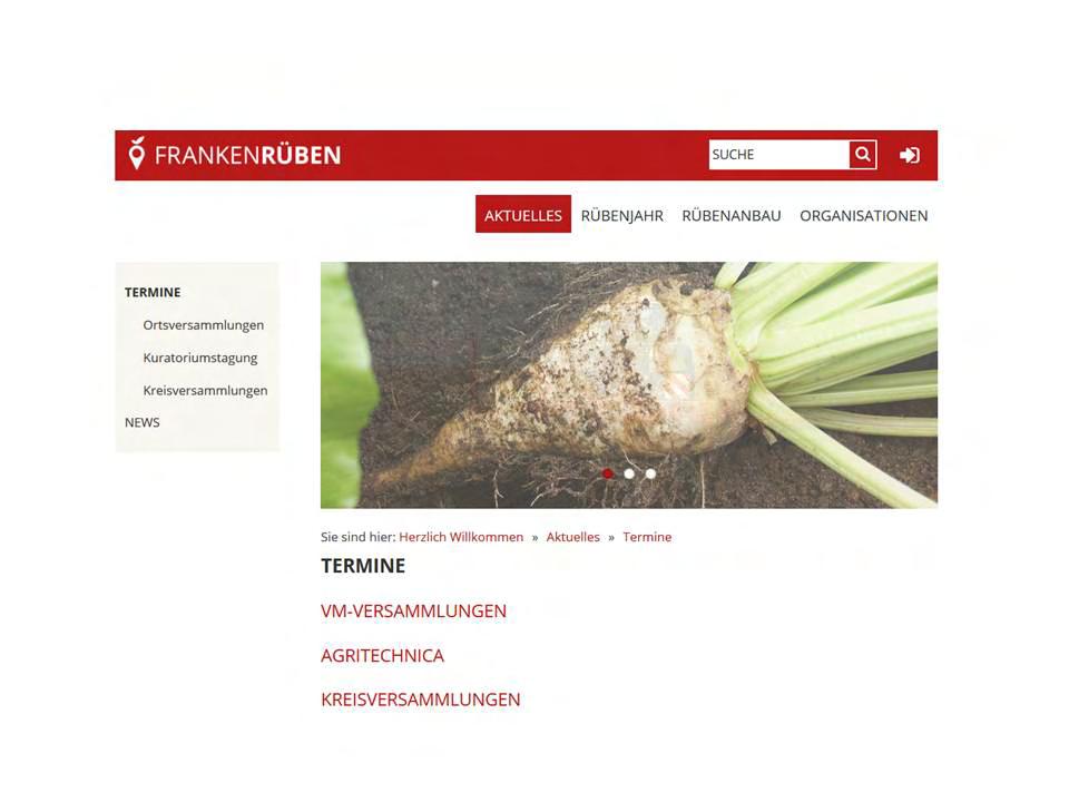2.2. Internet (www.frankenrueben.de) Insgesamt wurden 75 Artikel bzw. Einträge im Geschäftsjahr publiziert bzw. aktualisiert. 3.