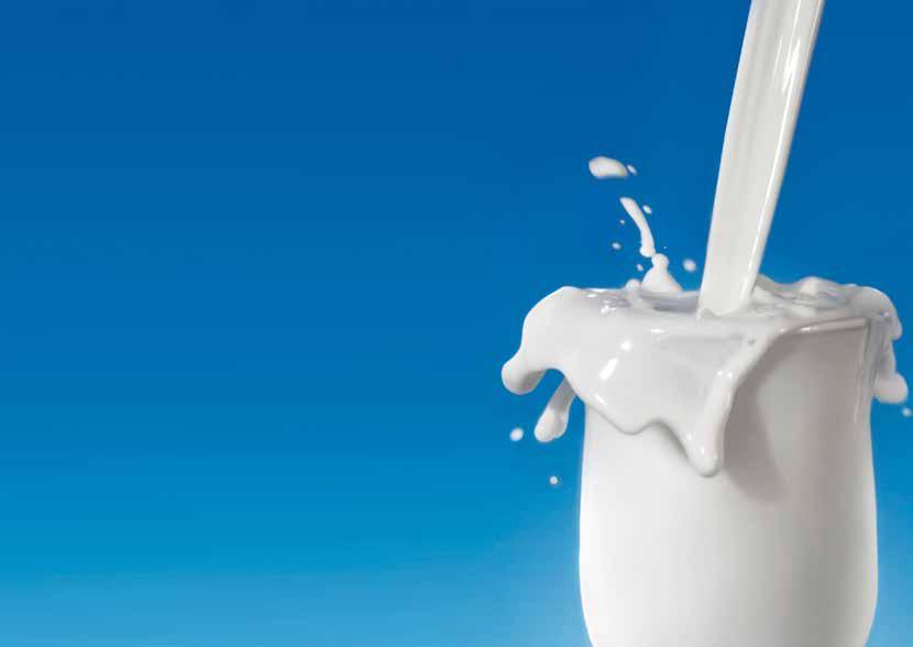 BETA-KASEIN in der Milch Seit einiger Zeit wird das Thema A2-Milch ausgehend von Neuseeland und Australien, auch in Europa stärker diskutiert.