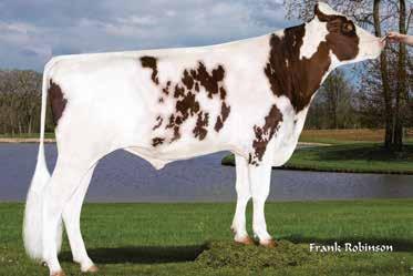 US 3.130.641.882 geb. 22.06.2015 Beta-Kasein: A1A2 54975 MAXBO RED Züchter: Select Sires, Inc. Plain City/US, 11740 U S 42 RED HOLSTEIN ENTITLE RC CA 11.696.748 ZW: 139/124/+1.
