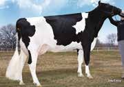 US 73.956.675 geb. 21.09.2016 Beta-Kasein: A1A1 54976 RUSTY RED Züchter: Select Sires, Inc.Plain City/US, 11740 U S 42 RED HOLSTEIN PAT RED US 3.012.178.104 ZW: 144/134/+1.