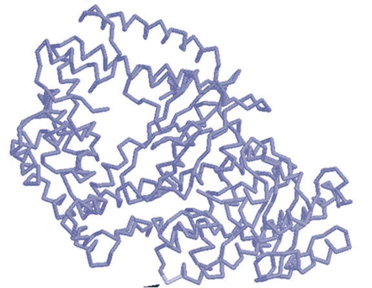 DNA-Polymerase I Das