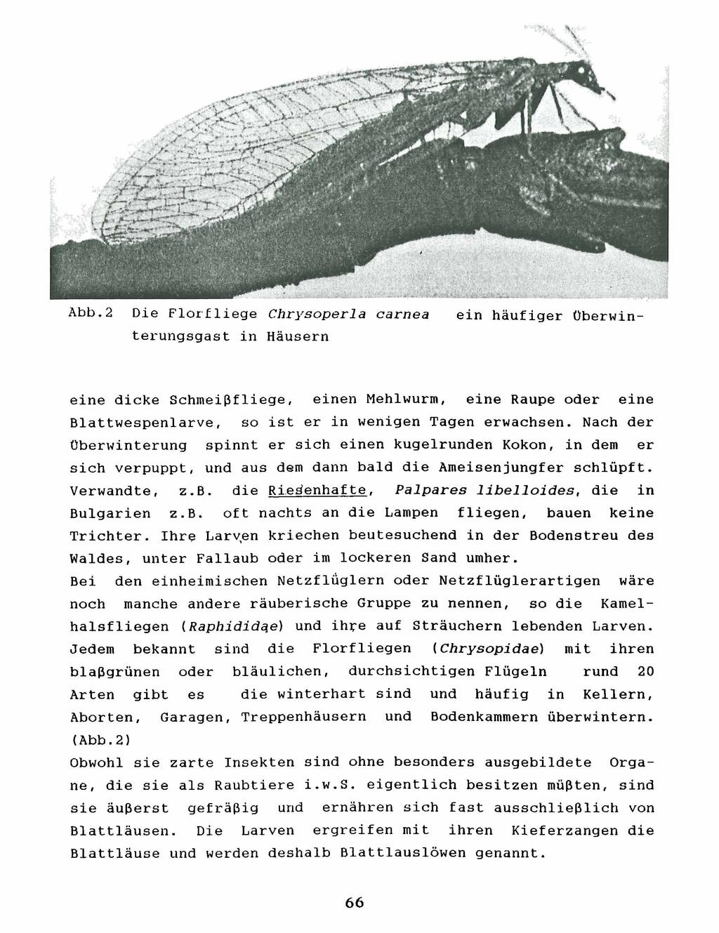 Kreis Nürnberger Entomologen; download unter www.biologiezentrum.at Abb.