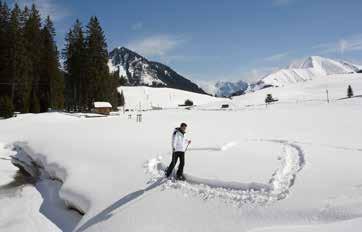 Wintersporteln, um die frische alpine Bergluft zu genießen und glänzende Spuren im Schnee zu