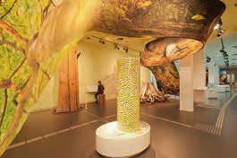 Fahr mal hin Die Ausstellung Wildnis(t)räume des Nationalpark-Zentrums Eifel Ein Erlebnis der besonderen Art KERSTIN OERTER Schleiden-Gemünd.