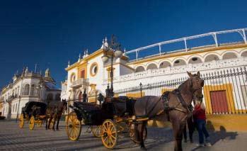 City Tour mit Pferdekutschen - halbtags Aktivitäten in Sevilla Entdecken Sie einen spannenden neuen Weg, um die traumhafte Stadt Sevilla kennen zu lernen.