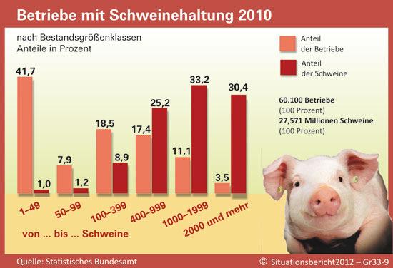 2. Betriebswachstum in der Landwirtschaft Konzentration der Schweineerzeugung (Quelle: Situationsbericht 2011/12)