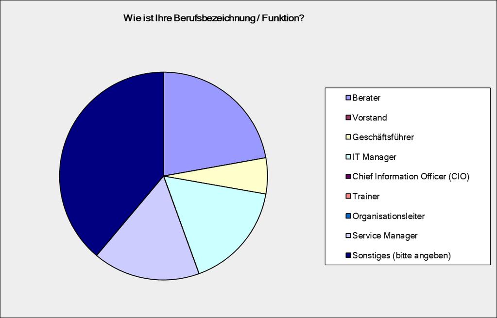 Berufsbezeichnung / Struktur der Teilnehmer IT Manager, Service Manager