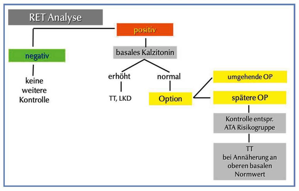 Vorgehen bei Diagnostik eines