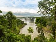 Janeiro Gewaltige Wasserfälle von Iguazu Freilebende Wildtiere im Pantanal