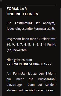 Klickt man den Link zum Formular an öffnet dieses im Browser. Danach sollte die Datei auf den PC gespeichert werden. Leider ist durch die Verwendung von verschiedenen Browsern bzw.