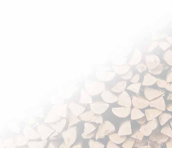 STURZBRANDTECHNIK 25 Jahre Erfahrung in der Entwicklung von Holzvergaserkesseln bietet Ihnen ein perfekt ausgereiftes Produkt.