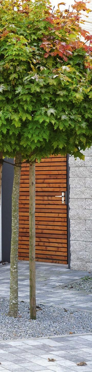 Vorteile Holz-Haustüren - natürliche und behagliche Ausstrahlung des Werkstoff Holzes - vierstufiger Farbaufbau garantiert