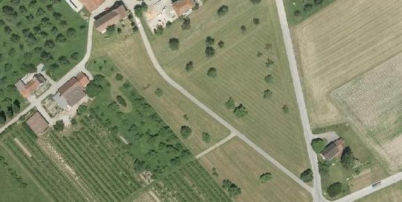 Luftbild der Parzelle 113 (im Jahr 2011). 9.1.1 Hochstammobstgarten Die bestehenden Hochstammobstbäume sollen erhalten werden.