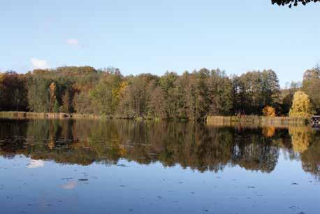 Mit fünf Seen und sieben Bergen Buckow liegt mitten in einem Talkessel im Naturpark Märkische Schweiz, dem Mittelgebirge der Mark Brandenburg.