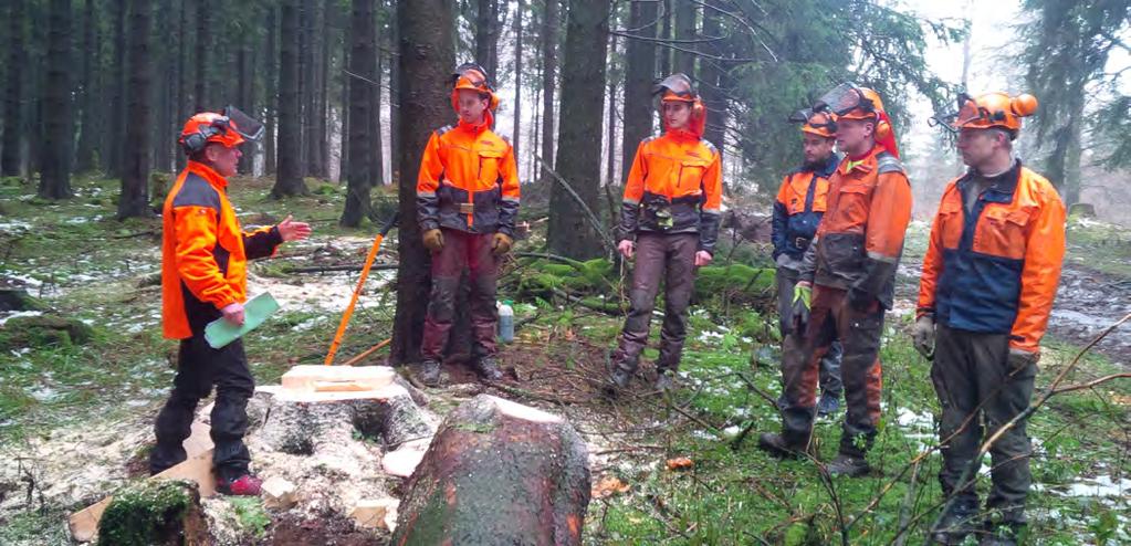 Gemeinsam für mehr Sicherheit bei der Waldarbeit Die Arbeiten im Wald und insbesondere die motormanuelle Holzernte sind ein gefährliches Unterfangen.