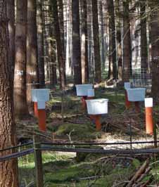 1 8 2 1 8 2 1 8 Stoffeinträge Birte Scheler In Wäldern ist die Deposition aus der Atmosphäre für viele Nähr- und Schadstoffe die wichtigste Eintragsquelle.