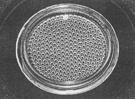 Bénard Experiment I (Hexagonmuster) Beim dem nach Henri Bénard benannten Experiment wird eine Flüssigkeitsschicht von der Unterseite erhitzt, während die Oberseite auf einer niedrigeren