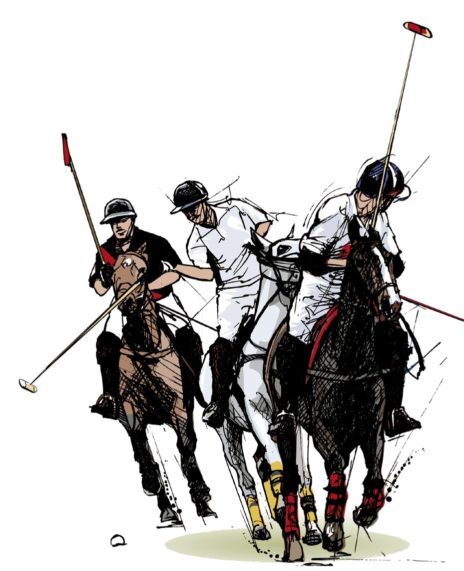 FoxPro Schutzbrillen für Pferde - beim Polospiel - beim Transport - bei