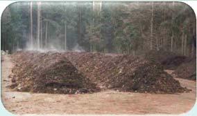 Kompostierung Krautige und holzige Materialien Genehmigte Anlage, Stand