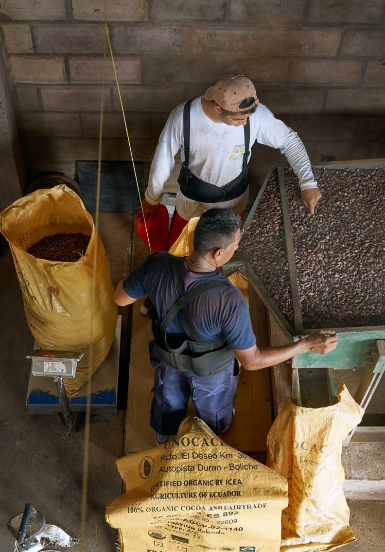 Beschaffung Kakao Washington León Haro und Marlon Mora, Mitarbeiter der Kooperative UNOCACE in Ecuador, sortieren die Kakaobohnen und füllen sie für die