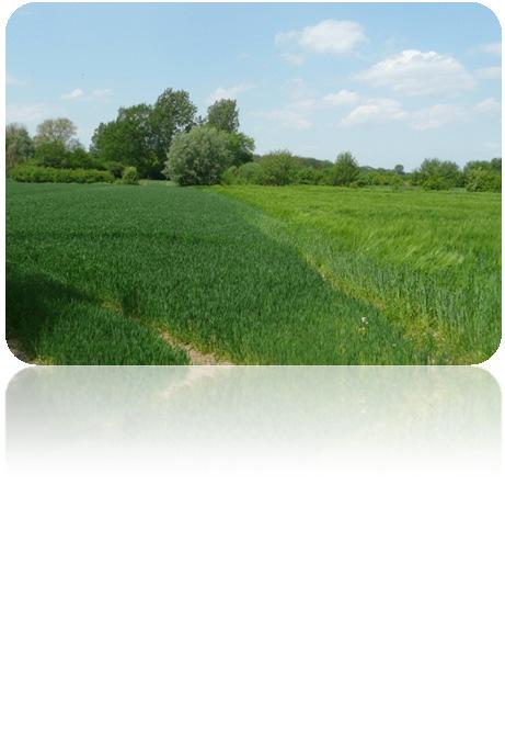 Landwirtschaft in Nordrhein-Westfalen Produktion von Nahrungsmitteln konventionell und ökologisch,