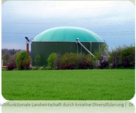 / Nutzung von Energie Biogasanlagen, Fotovoltaik, Windenergie, Holz Multifunktionale Landwirtschaft