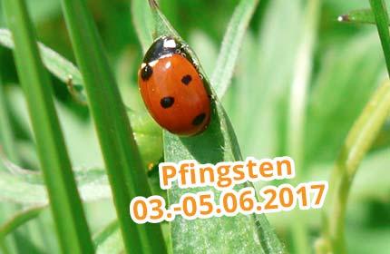 Abschlussprüfungen 2017 (3) Montag, 5. Juni 2017 Pfingstmontag Dienstag, 6.