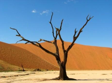 345 km Unterkunft: Namib-Wüste, Übernachtung Campingplatz 11. Tag: Namib-Wüste Es erwartet Sie ein absolutes Highlight Sossusvlei eine Lehmbodensenke umringt von den höchsten Dünen der Welt.