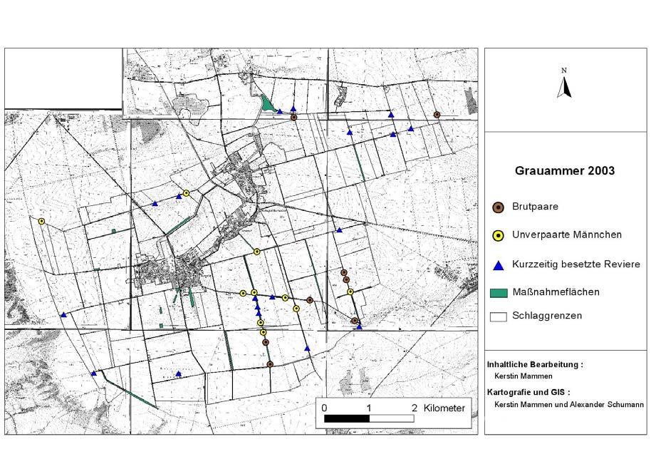 IUMBO Abschlußbericht März 2006 44 Abb. 3.4.-12.: Verteilung der Grauammerreviere im Projektgebiet im Jahr 2003.