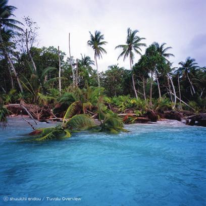 gelebt, das nachweislich durch den Klimawandel ausgestorben ist, die Bramble Cay Mosaikschwanzratte.