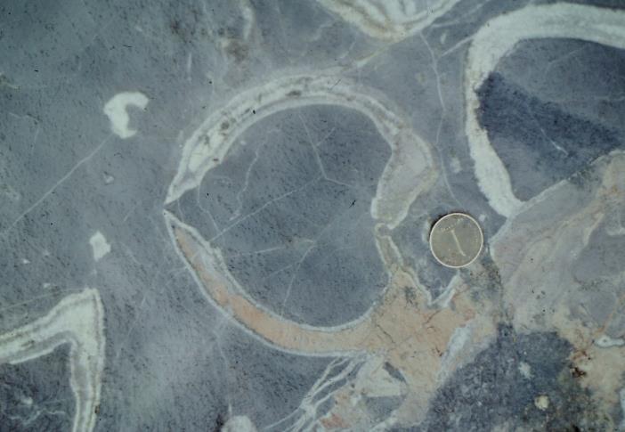 Bakterienspuren, 3000 Millionen Jahre alt (Foto C.