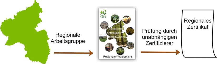 Abbildung 2: Schema des regionalen Zertifizierungsverfahrens Regionales Zertifikat Mit der positiven Begutachtung des regionalen Waldberichts erhalten die Waldbesitzer in der Region die Möglichkeit,