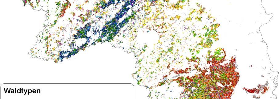 3. Wald- und Forstwirtschaft in