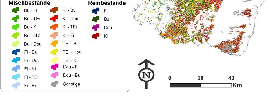 Abbildung 4: Waldtypen in Rheinland-Pfalz